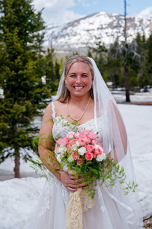 now in June: Megan Collins and Seth Underwood's Mountain Wedding