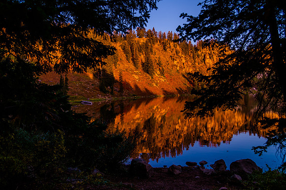 Reflection