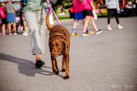 GOTR 5k 2022 (16 of 247)