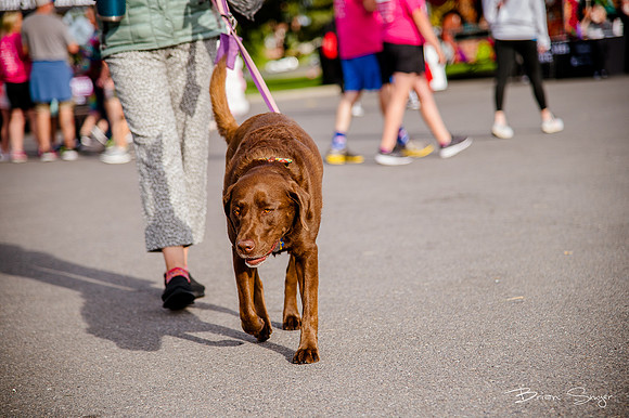 GOTR 5k 2022 (16 of 247)