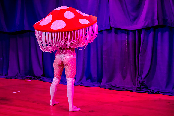 Kiki Cabaret53794