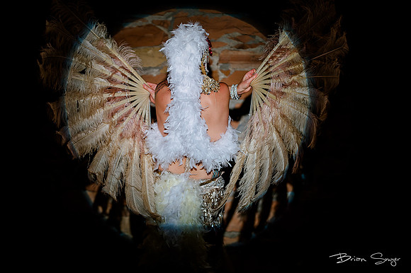 Birdlesque57264