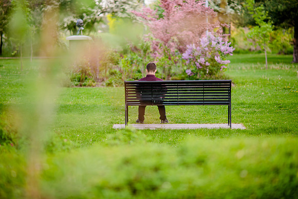 Unforgettable Family Portraits: Celebrating Love and Beauty at the International Peace Gardens