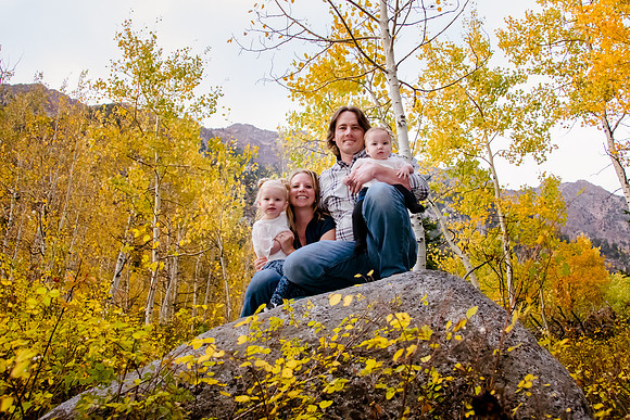 Peterson 2016-2376