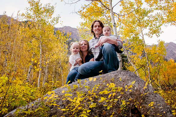 Peterson 2016-2364