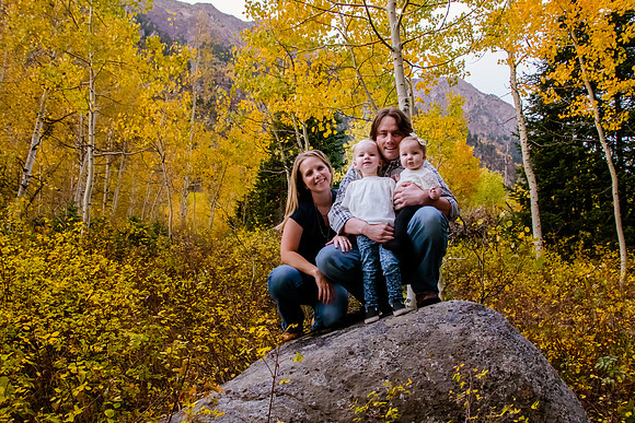 Peterson 2016-2318