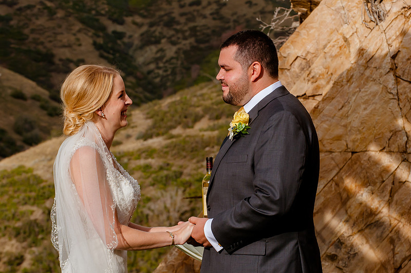 Louland Falls Wedding-77