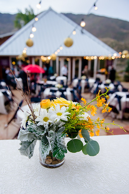 Louland Falls Wedding-90