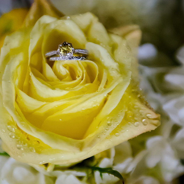 Louland Falls Wedding-97