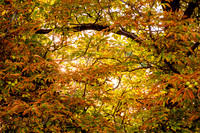 Out of Darkness Walk-0416