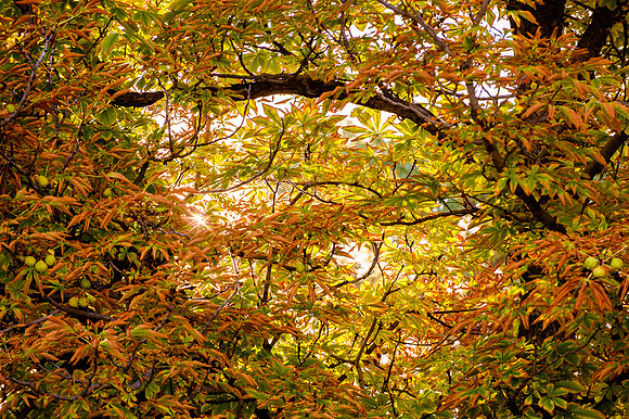 Out of Darkness Walk-0416