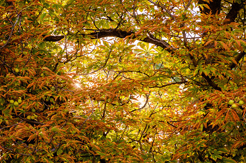 Out of Darkness Walk-0416