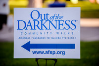 Out of Darkness Walk-0404