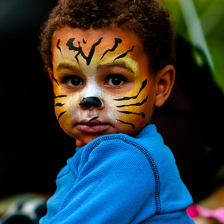 Sidney's Madagascar Bday-2921