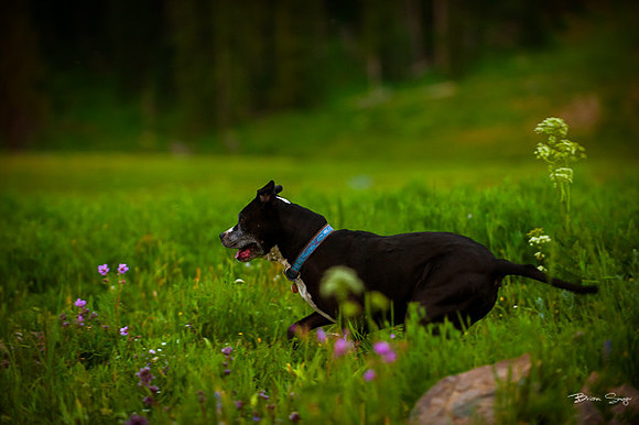 4th of July camping-2155