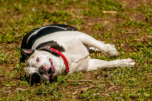 4th of July camping-9674