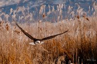 photographer Brian Smyer-5-3