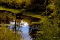 photographer Brian Smyer-1