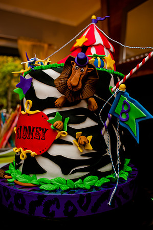 Sidney's Madagascar Bday-6690