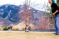 pets (91 of 271)