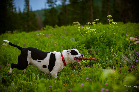 4th of July camping-2135