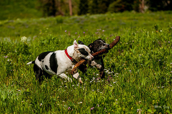4th of July camping-9796