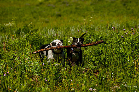 4th of July camping-9793