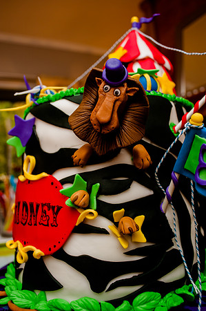 Sidney's Madagascar Bday-6692