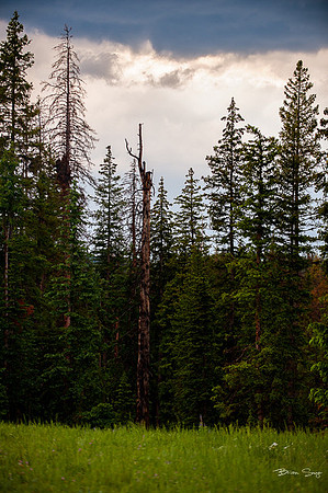 4th of July camping-2455