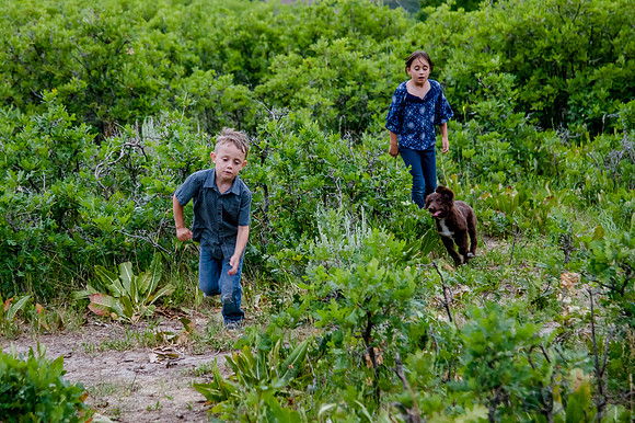 Provo Canyon 6-25-20207914