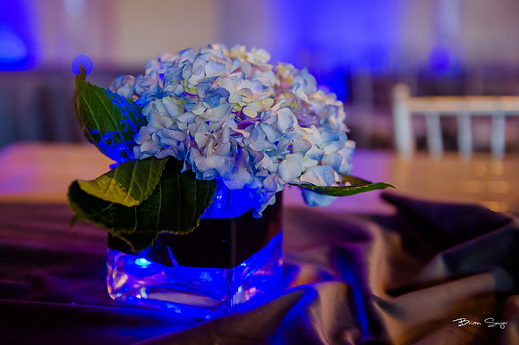 George and Jana's wedding at Monaco Hotel and Pierpont Place-1389
