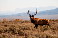 photographer Brian Smyer-6-2
