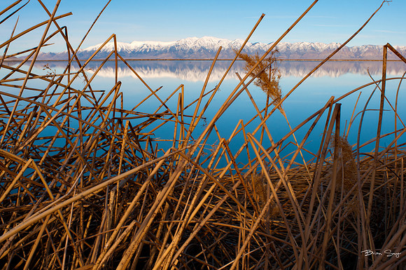Photographer Brian Smyer-1-9