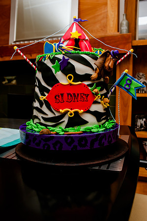 Sidney's Madagascar Bday-6685