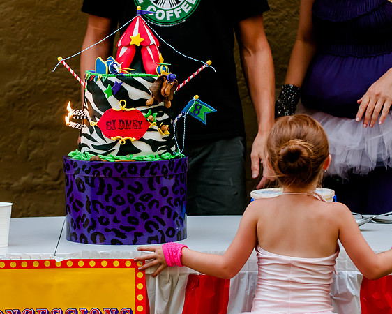 Sidney's Madagascar Bday-2740