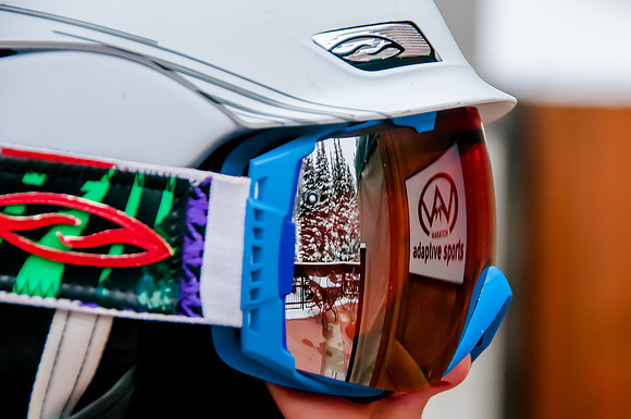 Logo in the Goggles