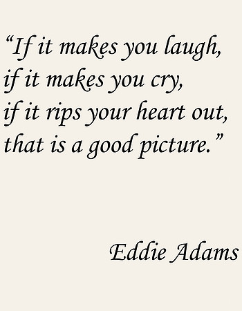 4 eddie adams