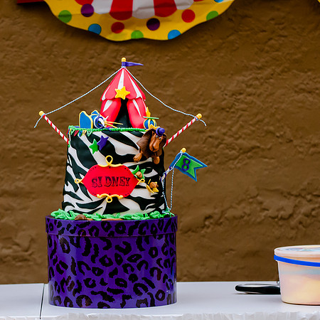 Sidney's Madagascar Bday-2727