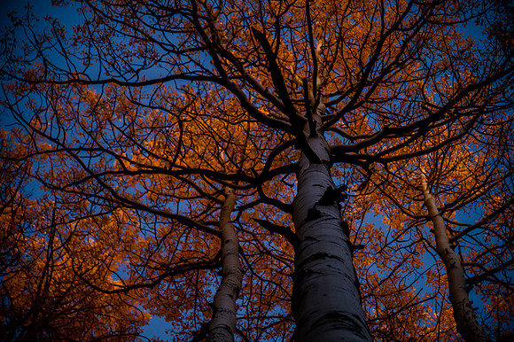 Colorado in Fall70360