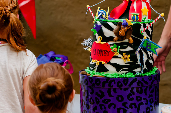 Sidney's Madagascar Bday-2741