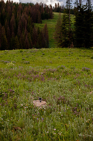 4th of July camping-2391