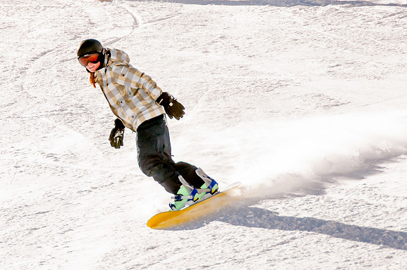 Shreddin
