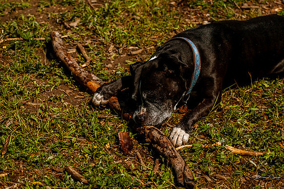 4th of July camping-9819
