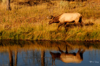 photographer Brian Smyer-5