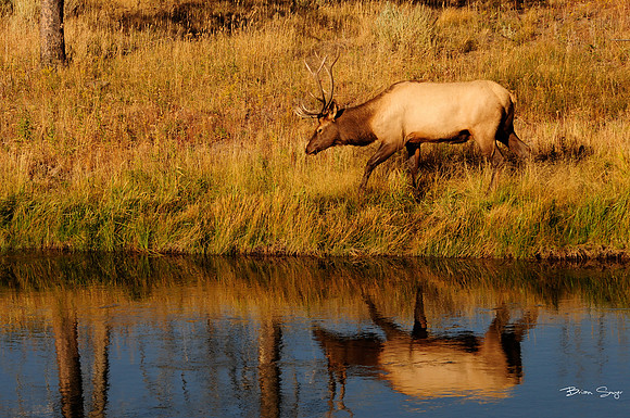 photographer Brian Smyer-5