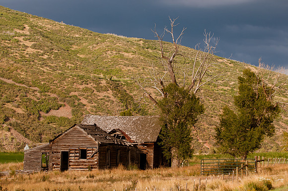 Photographer Brian Smyer-1-7