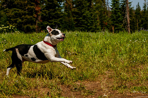 4th of July camping-9682