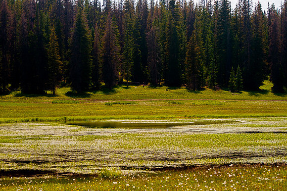 4th of July camping-9437
