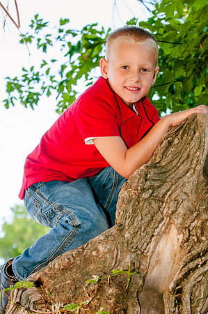 Portrait in a tree