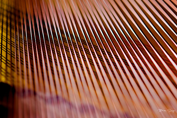 Brian Smyer's 2013 editor's picks-3359